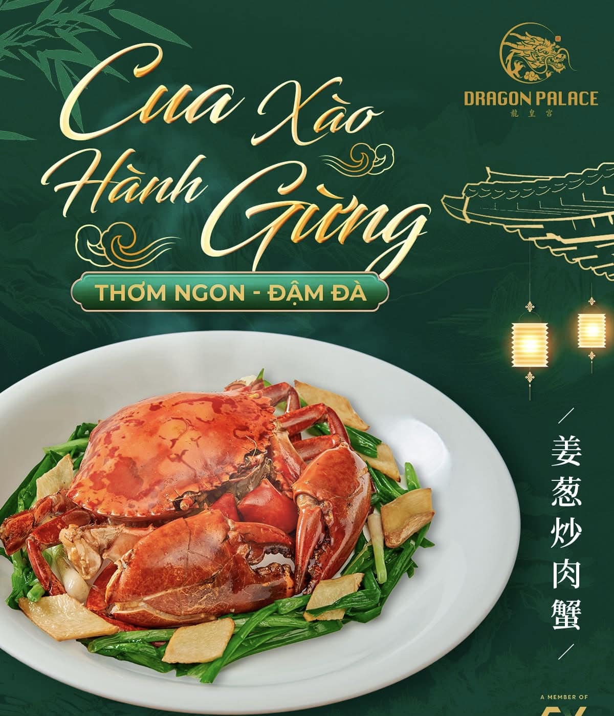 Món ăn ngon ở Trung Quốc được trình bày hài hòa giữa màu sắc và bố cục tinh tế, tạo nên tổng thể bắt mắt và đầy tính nghệ thuật.